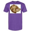 Softstyle® CVC T-Shirt Thumbnail