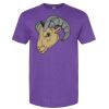 Softstyle® CVC T-Shirt Thumbnail