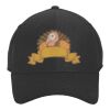 New Era ® Diamond Era Stretch Cap Thumbnail