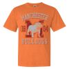 Comfort Colors - Garment-Dyed Heavyweight T-Shirt Thumbnail